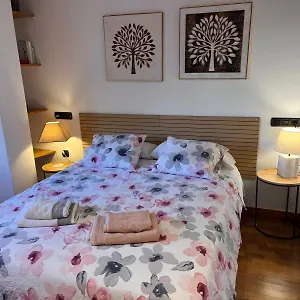 Piso Centrico Y Acogedor Apartamento Figueras